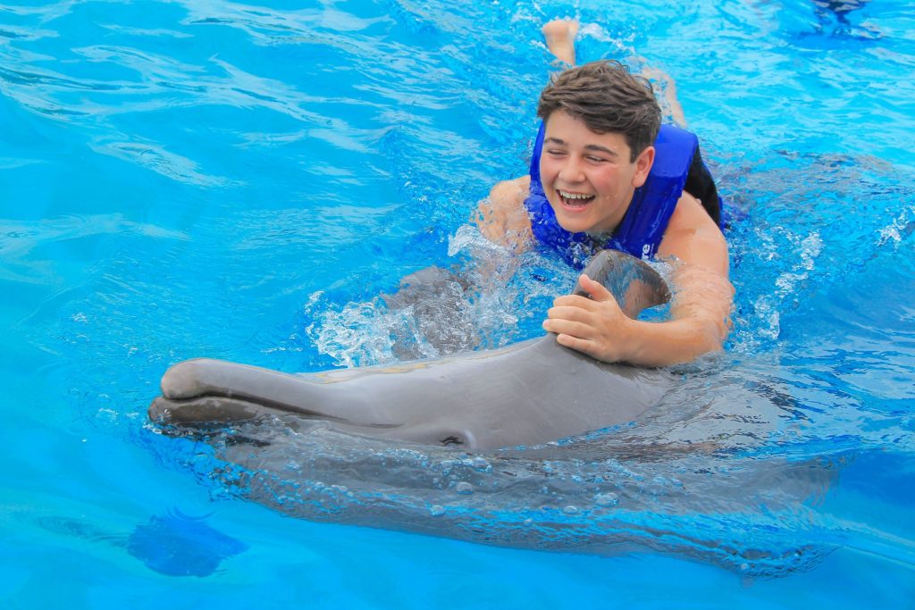 6DOLPHIN ADVENTURE